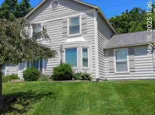 Dellia B.'s lawn care service result