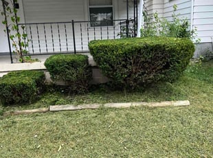James P.'s Bush Trimming service result