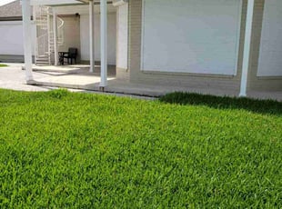 Charlie W.'s turf maintenance service result