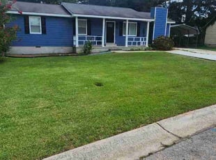 Peter N.'s lawn maintenance service result