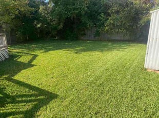 Carol B.'s lawn care service result