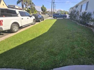 Frank T.'s grass cutting service result