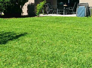 Nicole J.'s turf maintenance service result
