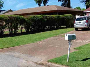 Ken C.'s grass maintenance service result