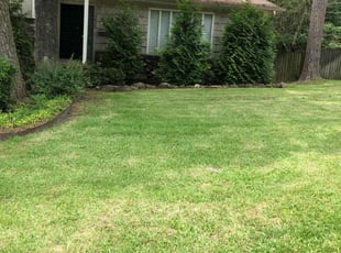 Ahmad W.'s grass maintenance service result