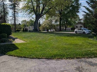 Heather P.'s turf maintenance service result