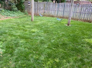 John B.'s lawn maintenance service result