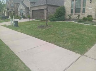 Guna R.'s turf care service result