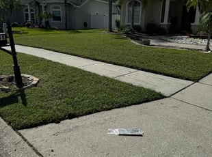 Jeremy O.'s lawn maintenance service result