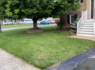 Lu J.'s lawn service service result