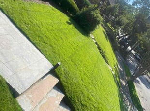 Miranda S.'s turf maintenance service result