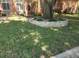 Ariel X.'s lawn service service result