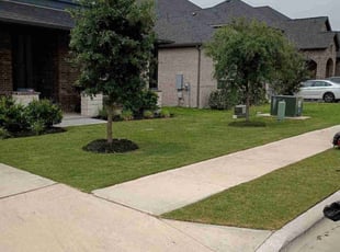 Journié B.'s grass maintenance service result