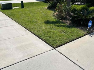 Shantell B.'s lawn maintenance service result