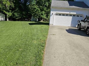 Rachel H.'s grass cutting service result