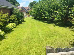 Briaghn B.'s turf care service result