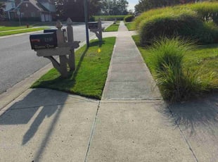 Richard S.'s lawn maintenance service result
