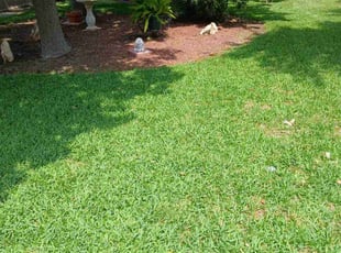 Wade K.'s lawn maintenance service result