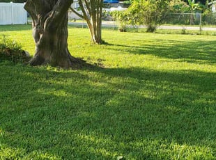 Christian C.'s grass cutting service result