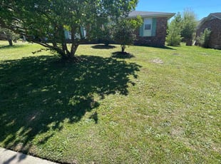 Christia E.'s turf maintenance service result
