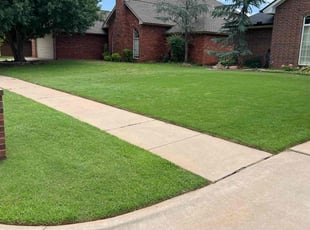 Nathan T.'s lawn service service result