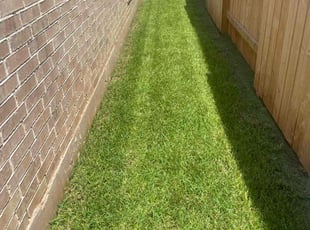 Ruth A.'s lawn care services service result