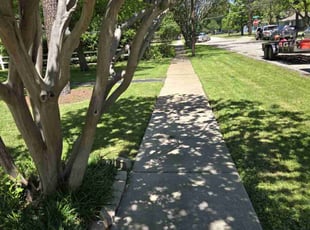 Lane L.'s lawn maintenance service result