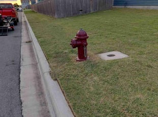 Abby S.'s turf care service result