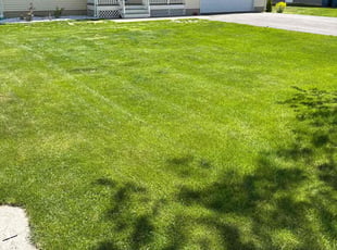 Chris R.'s lawn service service result