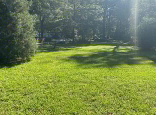 Lisa Y.'s lawn care service result