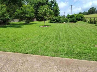 Nancy W.'s turf care service result