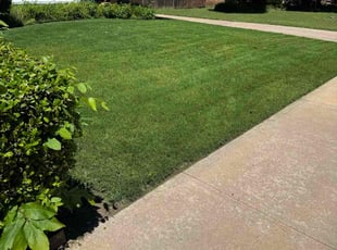 Serita L.'s lawn care services service result