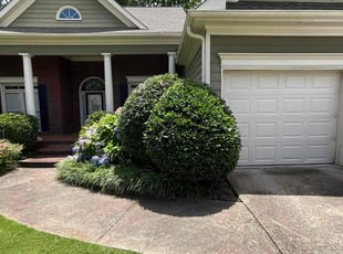 Michelly F.'s Bush Trimming service result