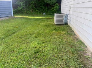Lisa J.'s lawn care services service result