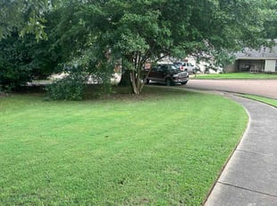 John W.'s lawn service service result