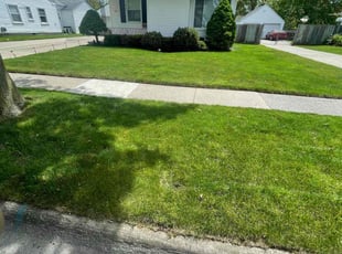 Gwen P.'s turf care service result