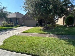 Lisa D.'s turf maintenance service result