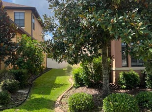 Kasey S.'s Long Grass Cleanup service result