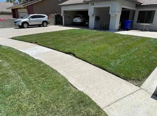 Ovie S.'s lawn care service result
