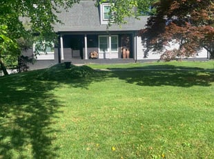 Takisha W.'s lawn care services service result