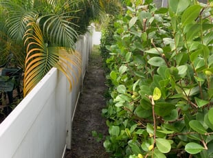 Brett S.'s Bush Trimming service result