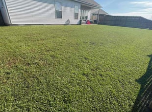 Roxanne S.'s turf maintenance service result