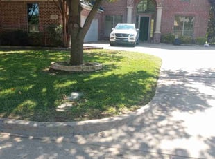 Catherine M.'s grass cutting service result