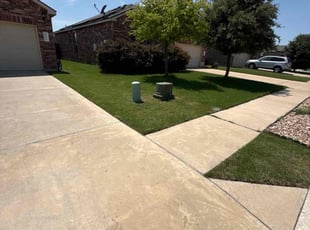 Rachel S.'s lawn care service result