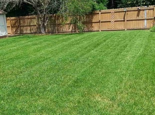 Wayne E.'s lawn service service result
