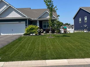 Enrique P.'s turf care service result