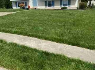 Theresa C.'s grass maintenance service result