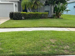 Kathy S.'s turf care service result