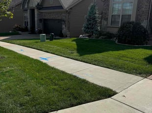 Jenna D.'s grass cutting service result