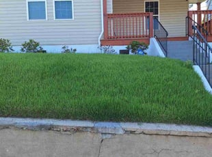 Amy R.'s turf maintenance service result